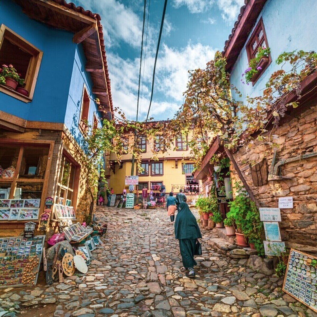 İstanbul Çıkışlı Günübirlik Cumalıkızık Gölyazı Mudanya Trilye Turu